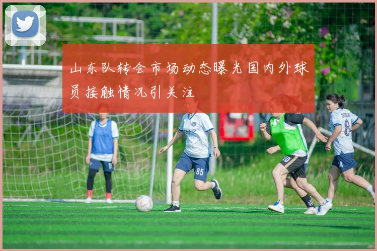 山东队转会市场动态曝光国内外球员接触情况引关注