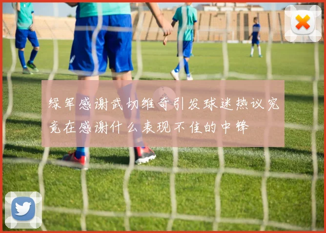 绿军感谢武切维奇引发球迷热议究竟在感谢什么表现不佳的中锋